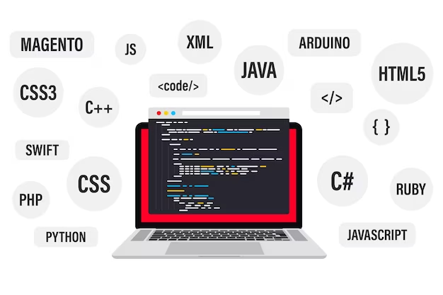 Top 5 Programming Language for Beginners in 2024